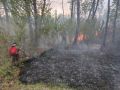 В ЕАО продолжают выявлять нарушителей особого противопожарного режима