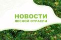 AmurMedia: В Хабаровском крае усилят группировку Федеральной Авиалесоохраны на 13 десантников-пожарных