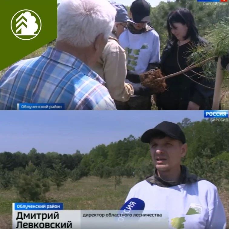 В продолжении акции «Сад памяти» 2026 год В продолжении акции «Сад памяти» 2026 год