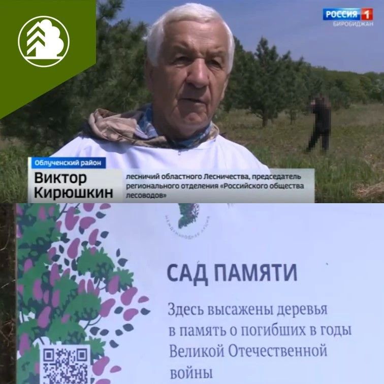 В продолжении акции «Сад памяти» 2026 год