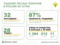 За прошедшие сутки в 15 регионах России потушили 32 лесных пожара