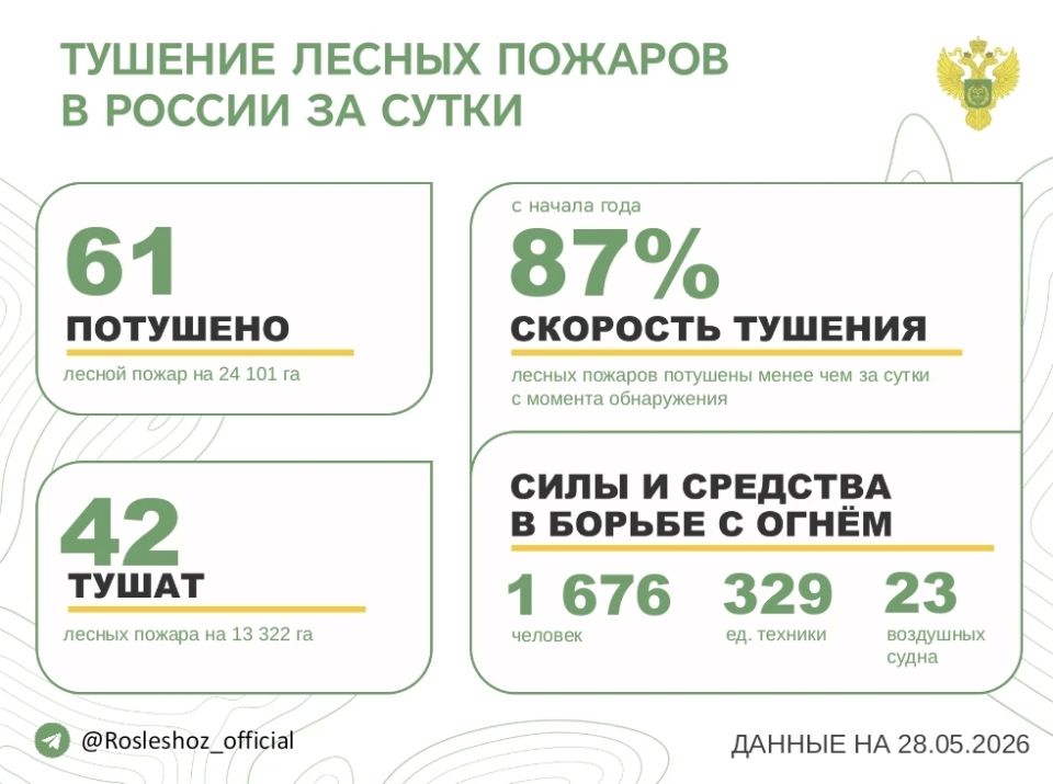 За прошедшие сутки в 17 регионах России потушили 61 лесной пожар