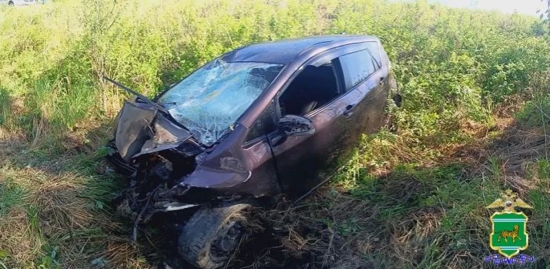 В Облученском районе водитель при обгоне вылетел в кювет и врезался в дерево В Облученском районе водитель при обгоне вылетел в кювет и врезался в дерево