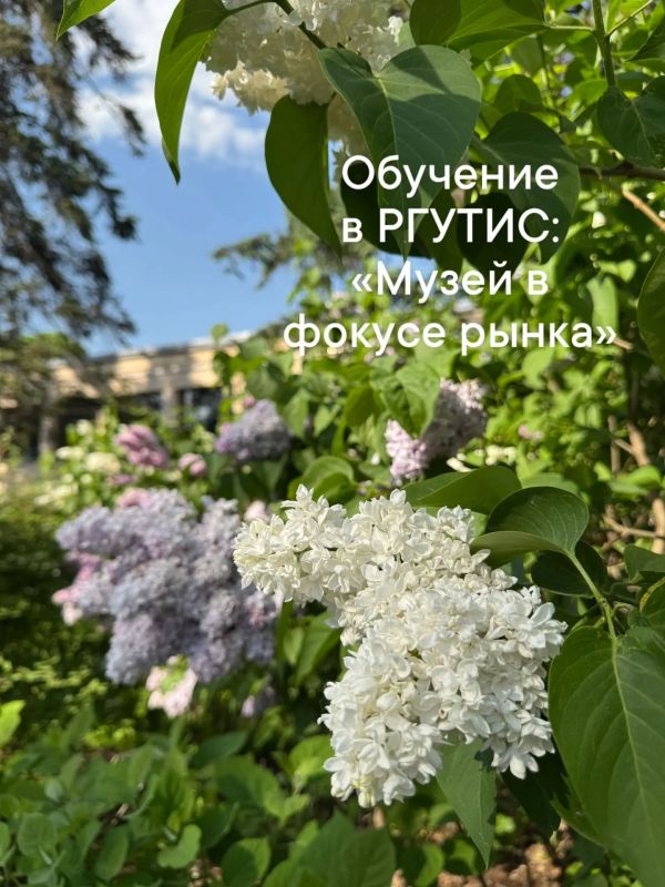 В рамках реализации национального проекта «Туризм и гостеприимство», а также повышения престижа отраслевых профессий в субъектах Российской Федерации Министерством экономического развития Российской Федерации совместно с...