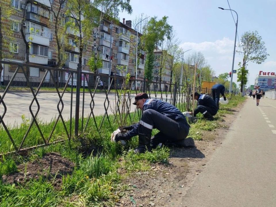 "Нить поколений"(0+) продолжается: сотрудники ТЭЦ Биробиджана высадили сирень памяти "Нить поколений"(0+) продолжается: сотрудники ТЭЦ Биробиджана высадили сирень памяти