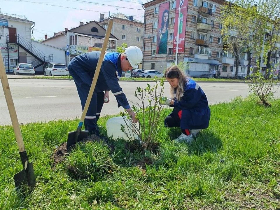 "Нить поколений"(0+) продолжается: сотрудники ТЭЦ Биробиджана высадили сирень памяти "Нить поколений"(0+) продолжается: сотрудники ТЭЦ Биробиджана высадили сирень памяти