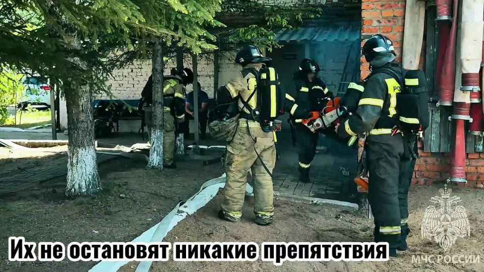 В ЕАО определили лучших бойцов невидимого фронта