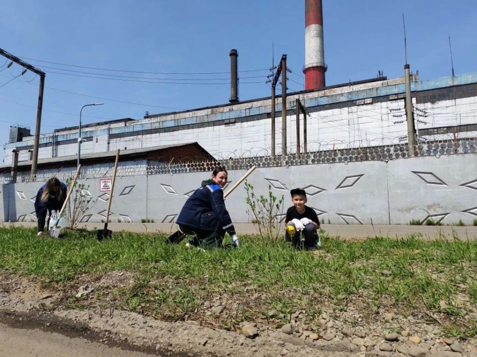 "Нить поколений"(0+) продолжается: сотрудники ТЭЦ Биробиджана высадили сирень памяти "Нить поколений"(0+) продолжается: сотрудники ТЭЦ Биробиджана высадили сирень памяти