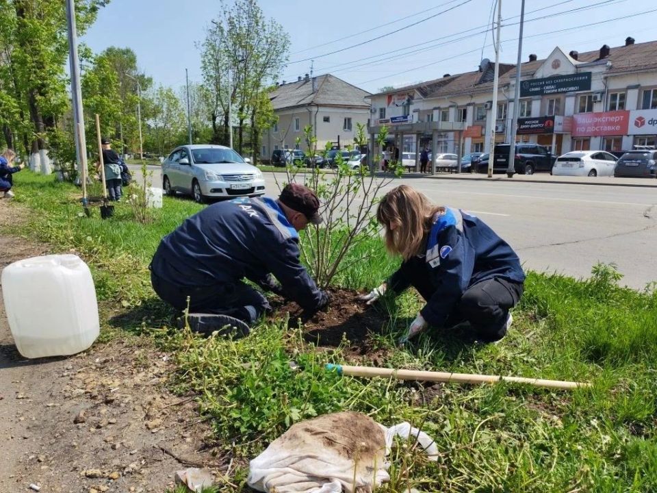 "Нить поколений"(0+) продолжается: сотрудники ТЭЦ Биробиджана высадили сирень памяти "Нить поколений"(0+) продолжается: сотрудники ТЭЦ Биробиджана высадили сирень памяти