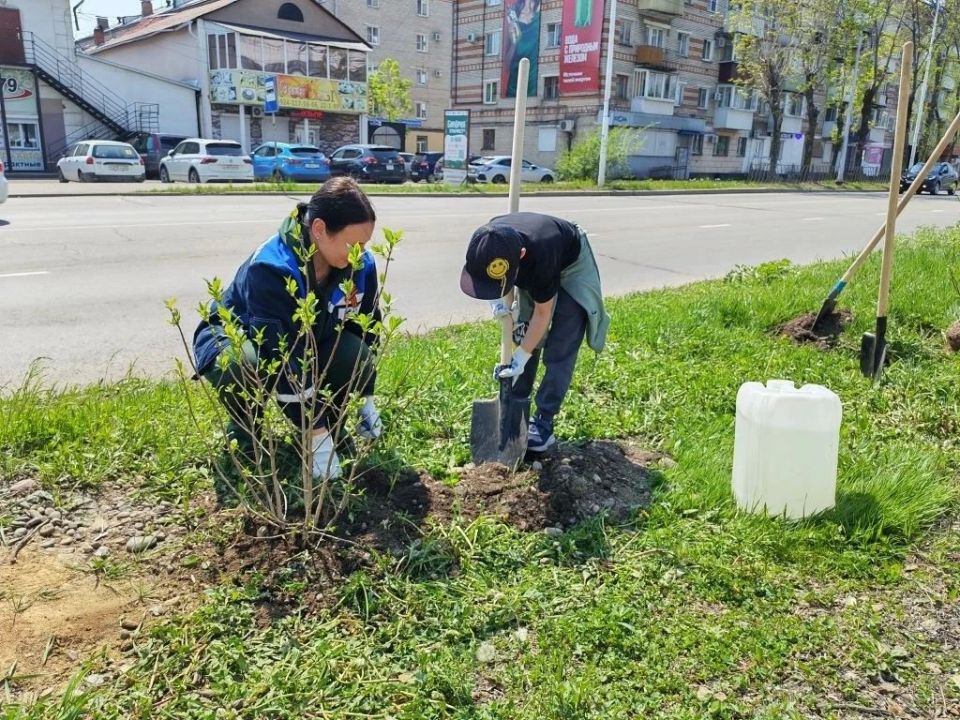 "Нить поколений"(0+) продолжается: сотрудники ТЭЦ Биробиджана высадили сирень памяти "Нить поколений"(0+) продолжается: сотрудники ТЭЦ Биробиджана высадили сирень памяти