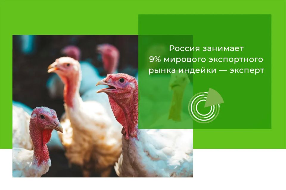 РОССИЯ ЗАНИМАЕТ 9% МИРОВОГО ЭКСПОРТНОГО РЫНКА ИНДЕЙКИ — ЭКСПЕРТ