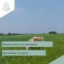 Внимание гражданам, желающим продать земельный участок сельскохозяйственного назначения