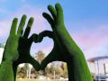 Уважаемые работники социальной сферы города Биробиджана! Поздравляю вас с Днем социального работника!
