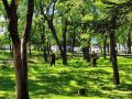 Летняя уборка Биробиджана проходит в плановом режиме