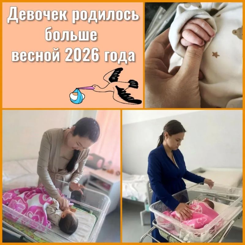 Весна - время девочек. Весной 2026 года в Еврейской автономной области девочек родилось больше! Чаще мамами становились женщины в возрасте от 18 до 24 лет