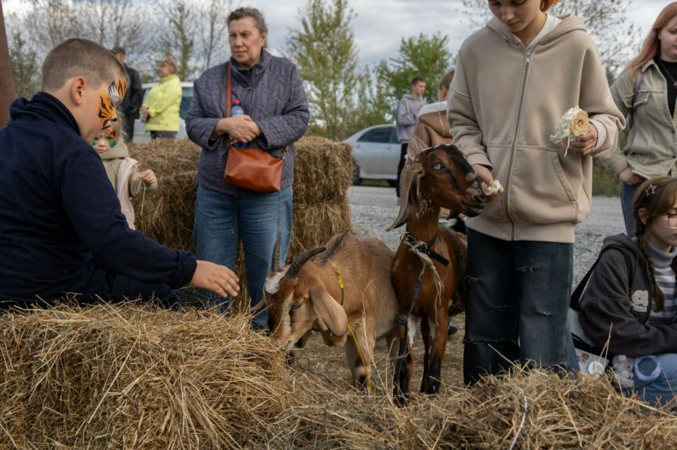 Радость для детей и взрослых: контактный зоопарк на III Этнофесте «Бирария» Радость для детей и взрослых: контактный зоопарк на III Этнофесте «Бирария»