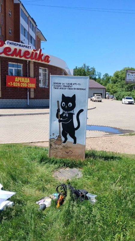 Котики на страже порядка. Фонд "Территория комфорта" подключился к наведению порядка в нашем городе Котики на страже порядка. Фонд "Территория комфорта" подключился к наведению порядка в нашем городе