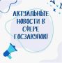 Практика ФАС по Закону N 44-ФЗ: какие ошибки отметила служба в обзорах за январь 2026 года