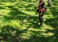 В Биробиджане продолжаются работы по благоустройству и уборке города