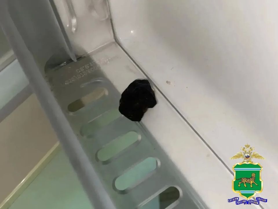 В Биробиджане полицейские изъяли гашишное масло, хранившееся в холодильнике В Биробиджане полицейские изъяли гашишное масло, хранившееся в холодильнике