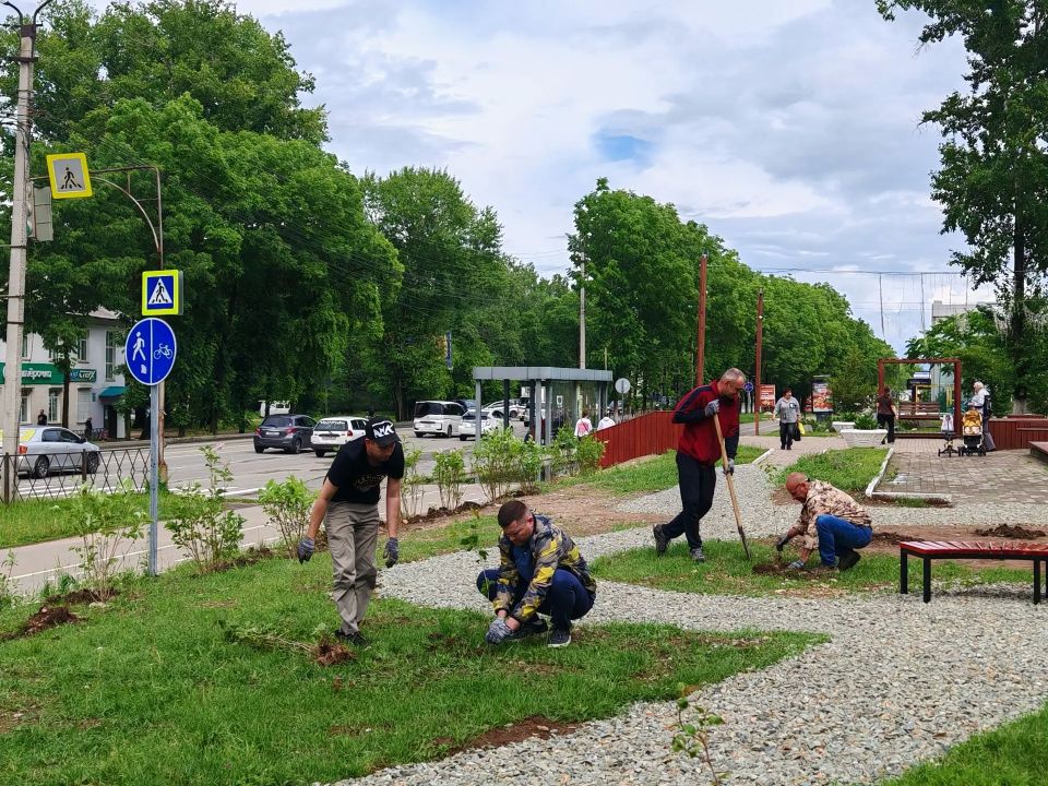 Депутат Городской Думы Биробиджана Кирилл Девятко высадил аллею сакуры перед обувной фабрикой Депутат Городской Думы Биробиджана Кирилл Девятко высадил аллею сакуры перед обувной фабрикой