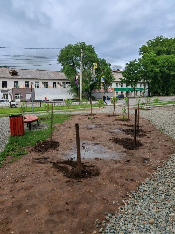 Депутат Городской Думы Биробиджана Кирилл Девятко высадил аллею сакуры перед обувной фабрикой Депутат Городской Думы Биробиджана Кирилл Девятко высадил аллею сакуры перед обувной фабрикой