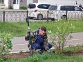 Депутат Городской Думы Биробиджана Кирилл Девятко высадил аллею сакуры перед обувной фабрикой