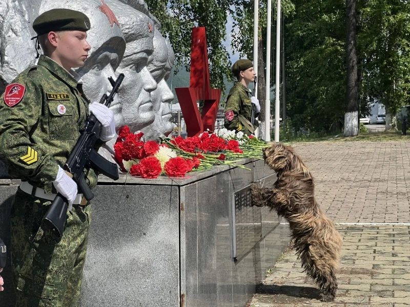 В Облучье сотрудники полиции почтили память героев Великой Отечественной Войны В Облучье сотрудники полиции почтили память героев Великой Отечественной Войны