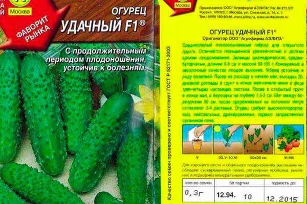 Сорт огурцов «Удачный»: как выбрать идеальные плоды для вашего участка