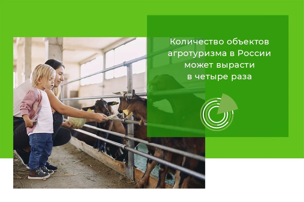 КОЛИЧЕСТВО ОБЪЕКТОВ АГРОТУРИЗМА В РОССИИ МОЖЕТ ВЫРАСТИ В ЧЕТЫРЕ РАЗА