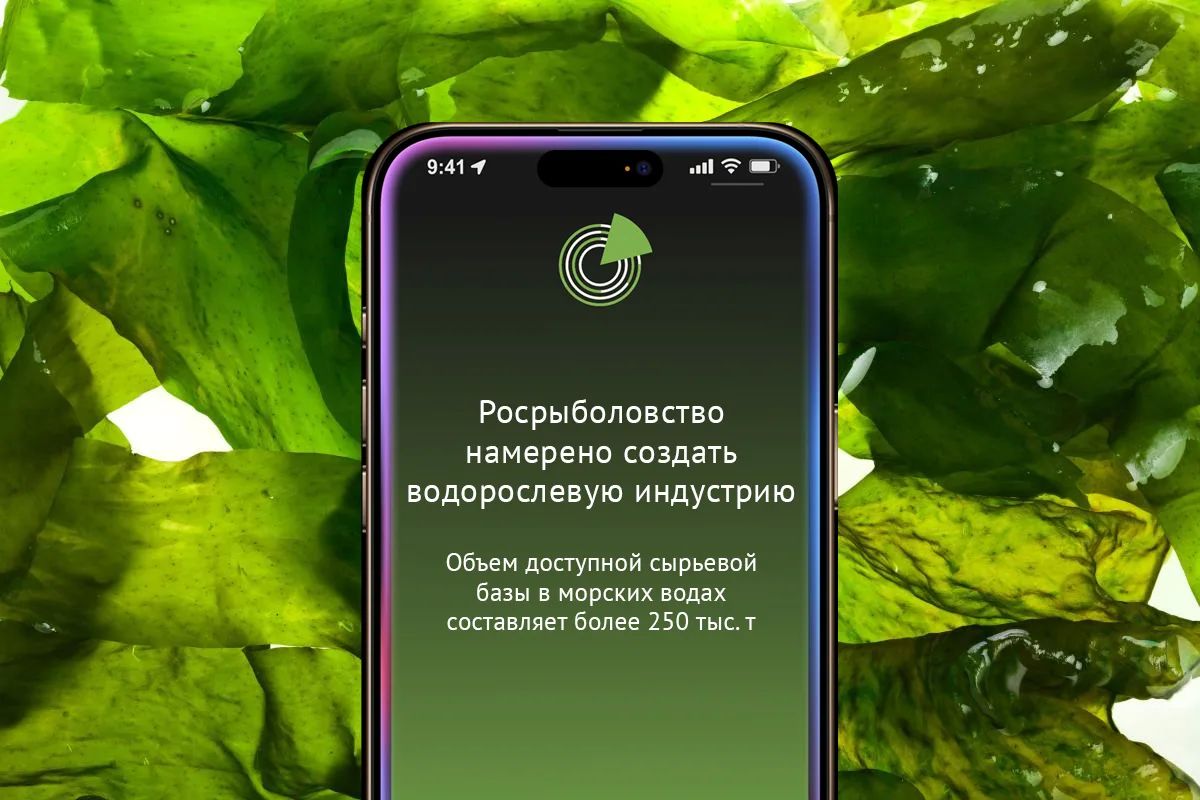 РОСРЫБОЛОВСТВО НАМЕРЕНО СОЗДАТЬ ВОДОРОСЛЕВУЮ ИНДУСТРИЮ