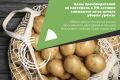 ЦЕНЫ ПРОИЗВОДИТЕЛЕЙ НА КАРТОФЕЛЬ В РФ АКТИВНО СНИЖАЮТСЯ ИЗ-ЗА НАЧАЛА УБОРКИ УРОЖАЯ