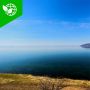 �� ��� ������� ���������� ����� ������� ����� ���������