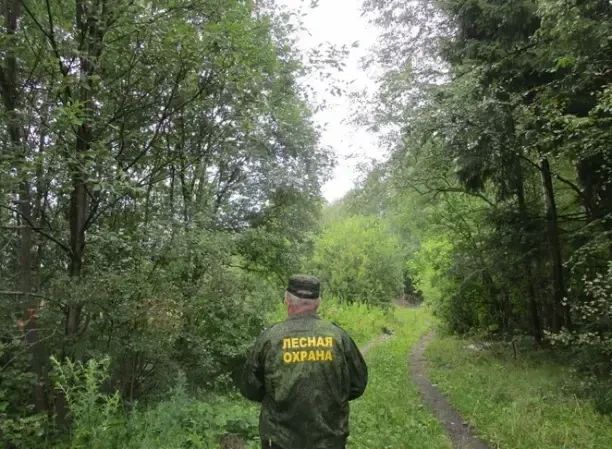 ЛЕТО В ЛЕСУ: ИНСПЕКТОРЫ НА СТРАЖЕ ПОРЯДКА! ЛЕТО В ЛЕСУ: ИНСПЕКТОРЫ НА СТРАЖЕ ПОРЯДКА!