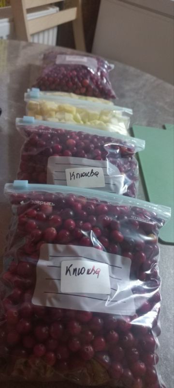 Зимой клюква и кабачки — лучшие друзья на кухне