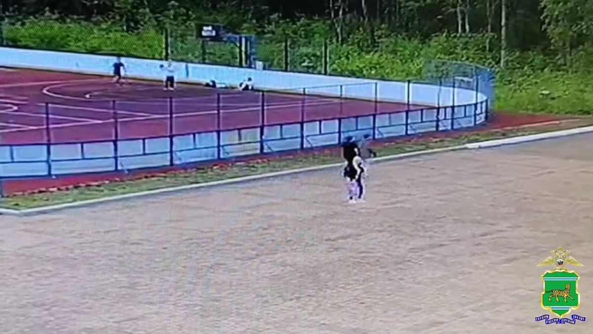 Курьерша, похитившая более 14 миллионов рублей у семей погибших бойцов СВО, задержана полицией ЕАО