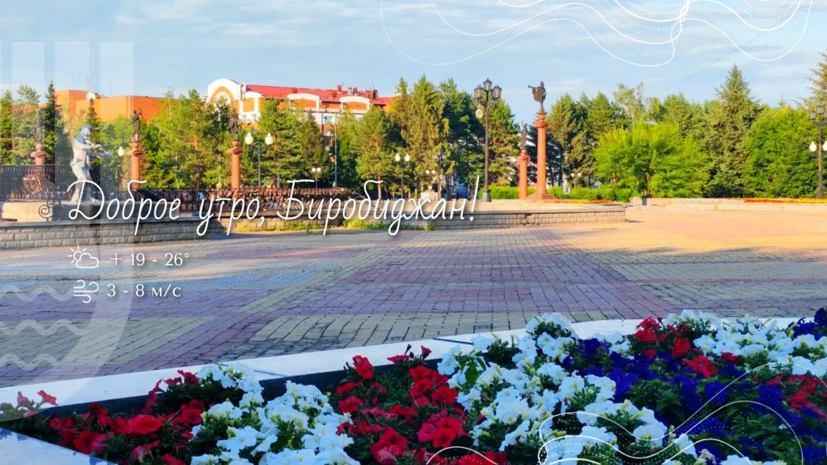 Шалом, Биробиджан!. Сегодня свой профессиональный праздник отмечают те, кто каждый день обеспечивает безопасность на дорогах — сотрудники Госавтоинспекции. Это праздник людей, от которых зависит порядок на улицах...