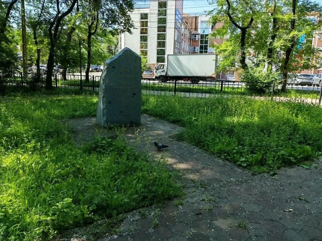 Скопление веток и заросли травы: еженедельный обход по улицам города провёл мэр Биробиджана Скопление веток и заросли травы: еженедельный обход по улицам города провёл мэр Биробиджана