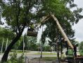 В Биробиджане продолжаются работы по благоустройству и уборке города