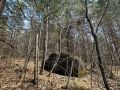 Экотропу «По следам бираров» обустроят в Долине тигров уже этим летом