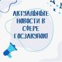 Топливный кризис дошел до ФАС: Общественный совет просит пересмотреть правила расчета цен на бензин для госзакупок
