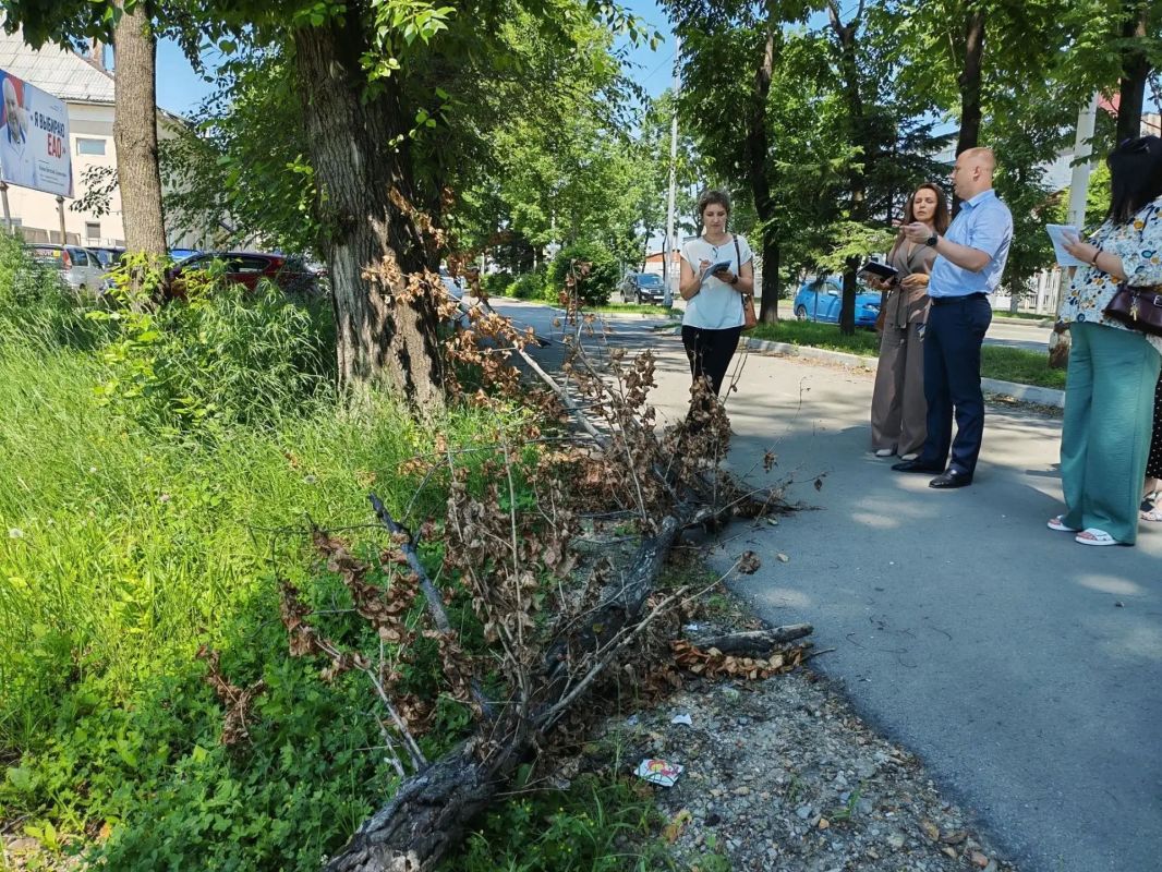 Глава Биробиджана проверил состояние улиц, зеленых зон и общественных пространств Глава Биробиджана проверил состояние улиц, зеленых зон и общественных пространств
