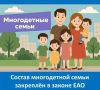 Согласно закону области от 26.06.2024 № 418ОЗ «О многодетных семьях в Еврейской автономной области», в состав многодетной семьи включаются:
