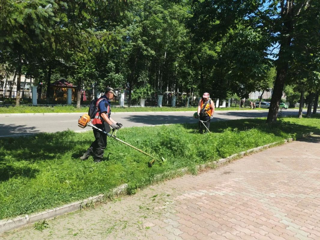 Глава Биробиджана проверил состояние улиц, зеленых зон и общественных пространств Глава Биробиджана проверил состояние улиц, зеленых зон и общественных пространств