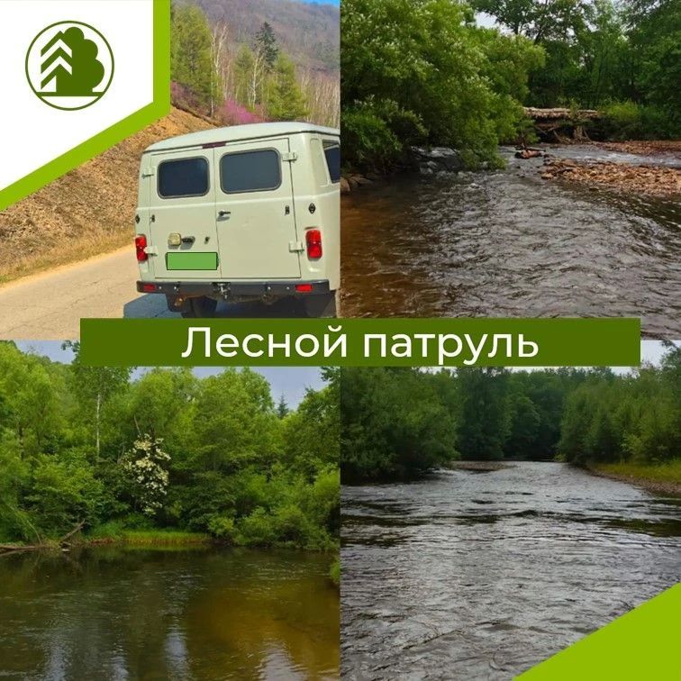 Очередные рейды: лес под охраной