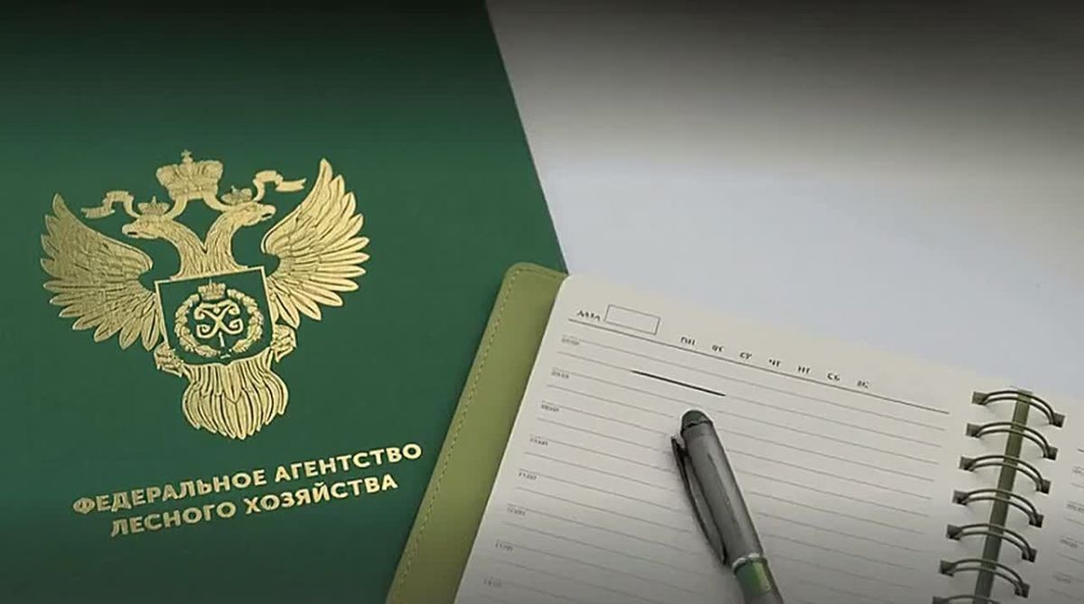 УТВЕРЖДЕНЫ ПРАВИЛА СОЗДАНИЯ И СОДЕРЖАНИЯ ЛЕСНЫХ ДОРОГ