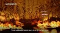 АКЦИЯ «ОСТАНОВИ ОГОНЬ» — ЭТО МАСШТАБНЫЙ НАЦИОНАЛЬНЫЙ ПРОЕКТ И ЕЖЕГОДНАЯ ФЕДЕРАЛЬНАЯ ИНФОРМАЦИОННАЯ ПРОТИВОПОЖАРНАЯ КАМПАНИЯ, НАПРАВЛЕННАЯ НА ЗАЩИТУ НАШИХ ЛЕСОВ