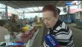 Прогноз погоды ставит под сомнения хороший урожай ягод в ЕАО