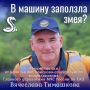 Что делать, если змея решила прокатиться с вами?