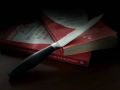 ЖИТЕЛЬНИЦА НАНАЙСКОГО РАЙОНА ПРЕДСТАНЕТ ПЕРЕД СУДОМ ПО ОБВИНЕНИЮ В УБИЙСТВЕ